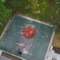 Basketball Court Tile Cleaning How to Keep Your Sport Court Looking and Playing Like New